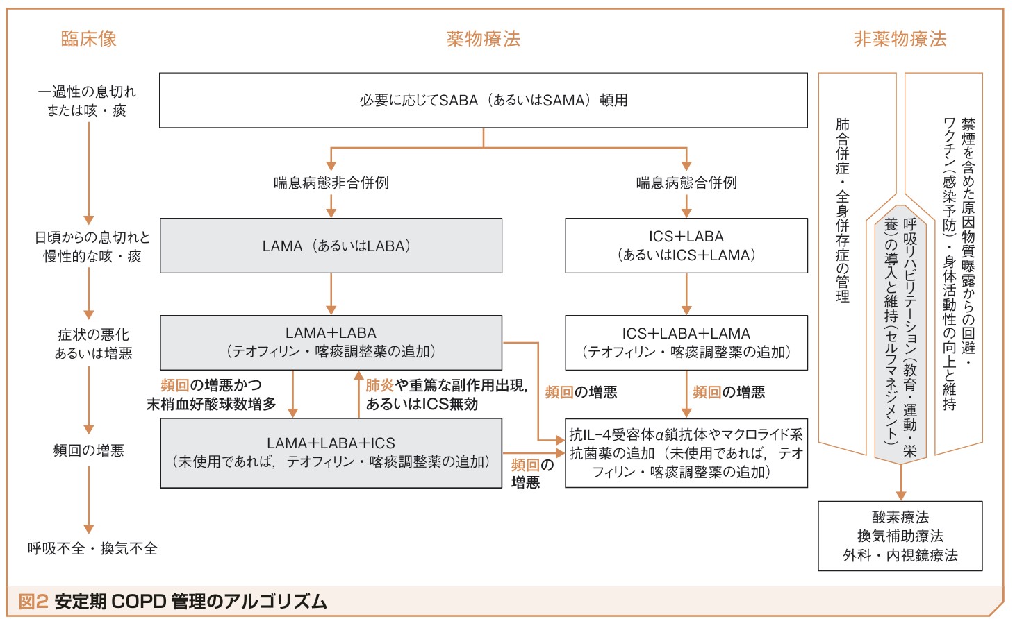 COPD管理のアルゴリズム