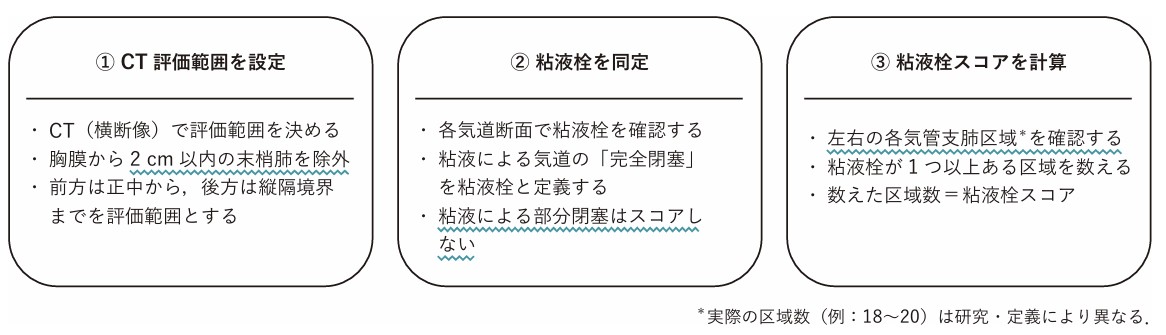 粘液栓スコアの算出方法