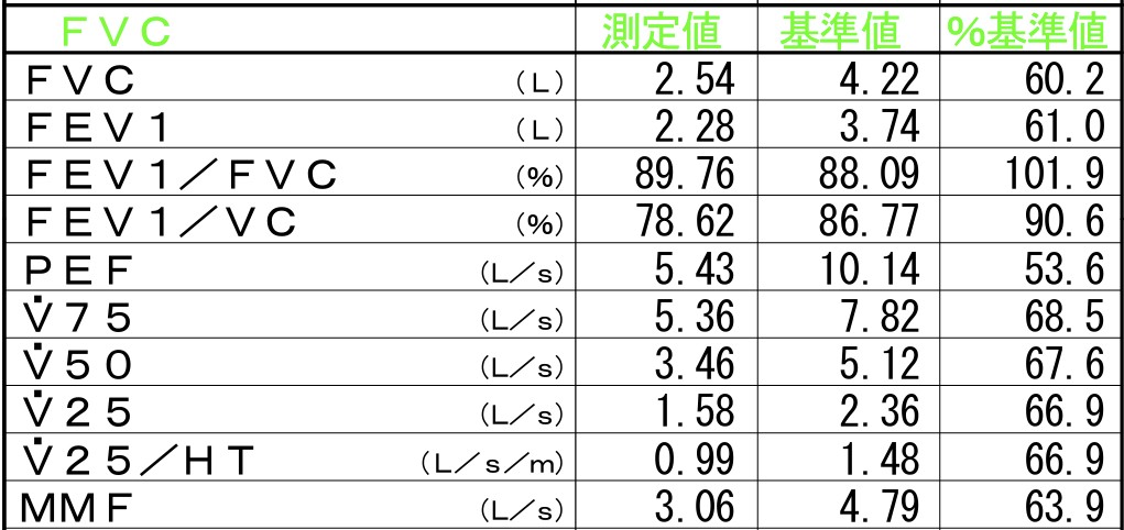 FVCサンプル画像
