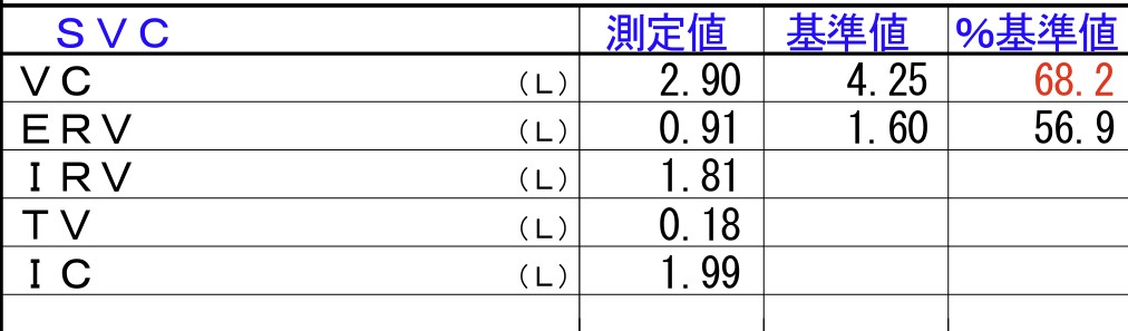 SVCサンプル画像